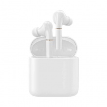 Haylou T19 Wireless Charging TWS Earbuds