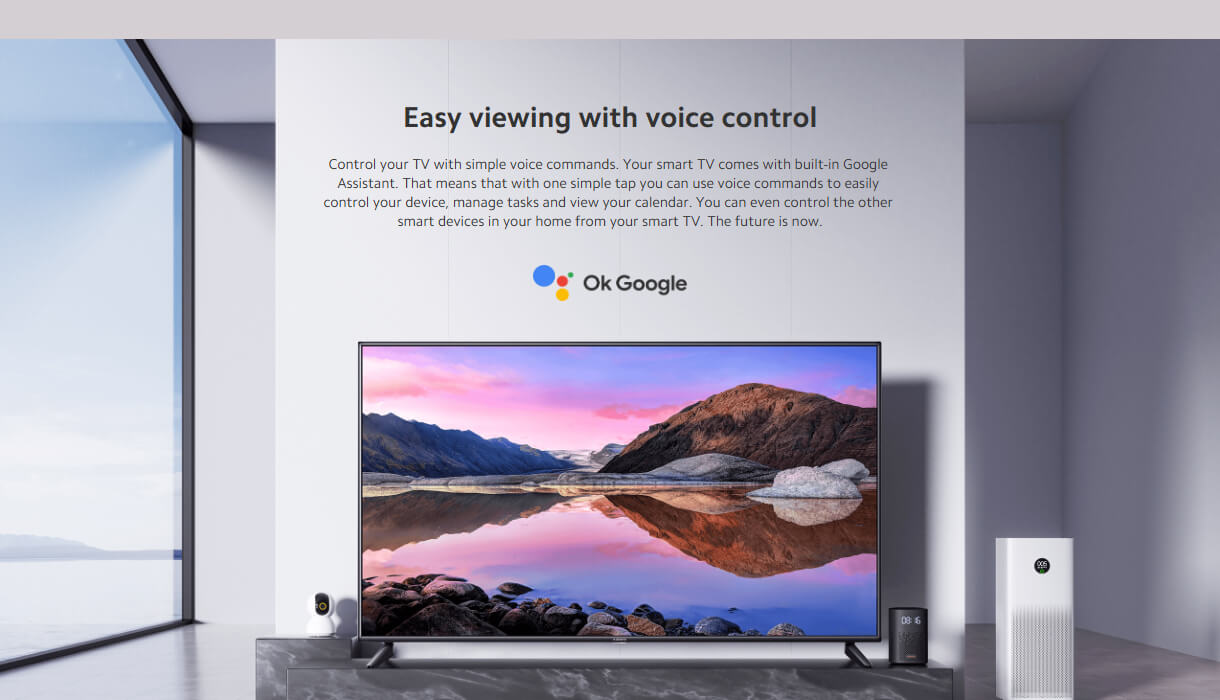 Xiaomi TV P1E 65