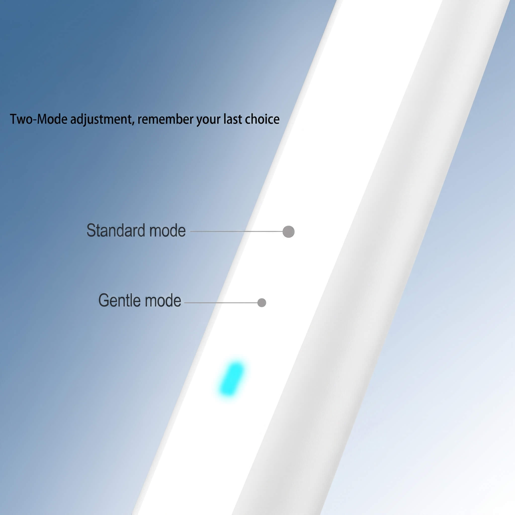 Xiaomi Sonic Electric Toothbrush T301