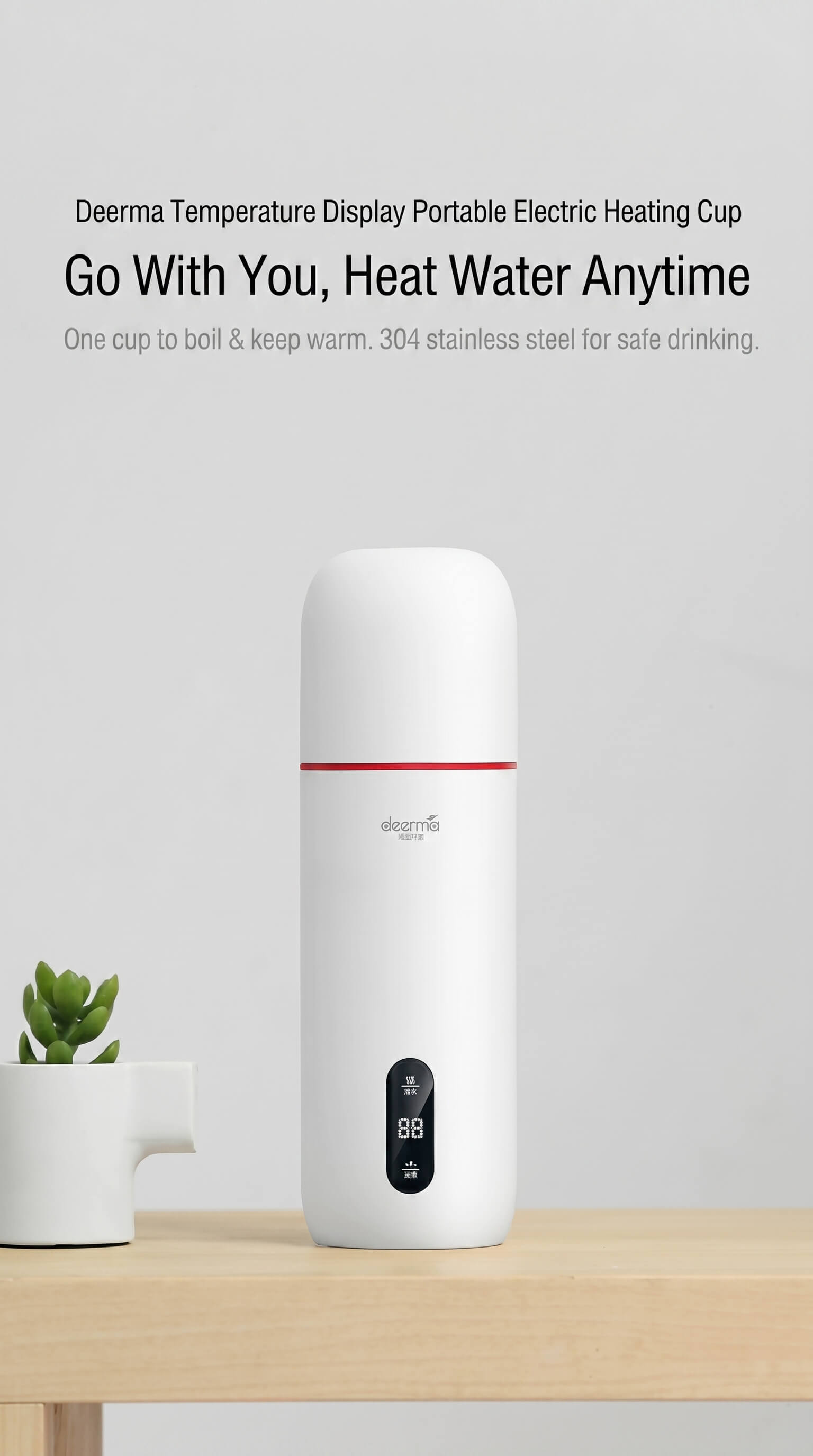 Deerma Electric Water Kettle
