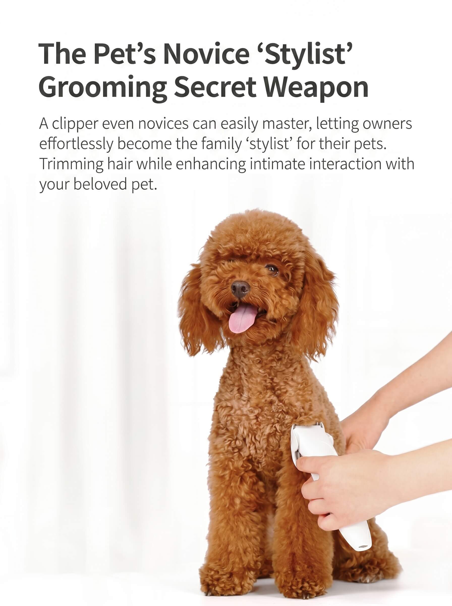 Pawbby Pet Shaver