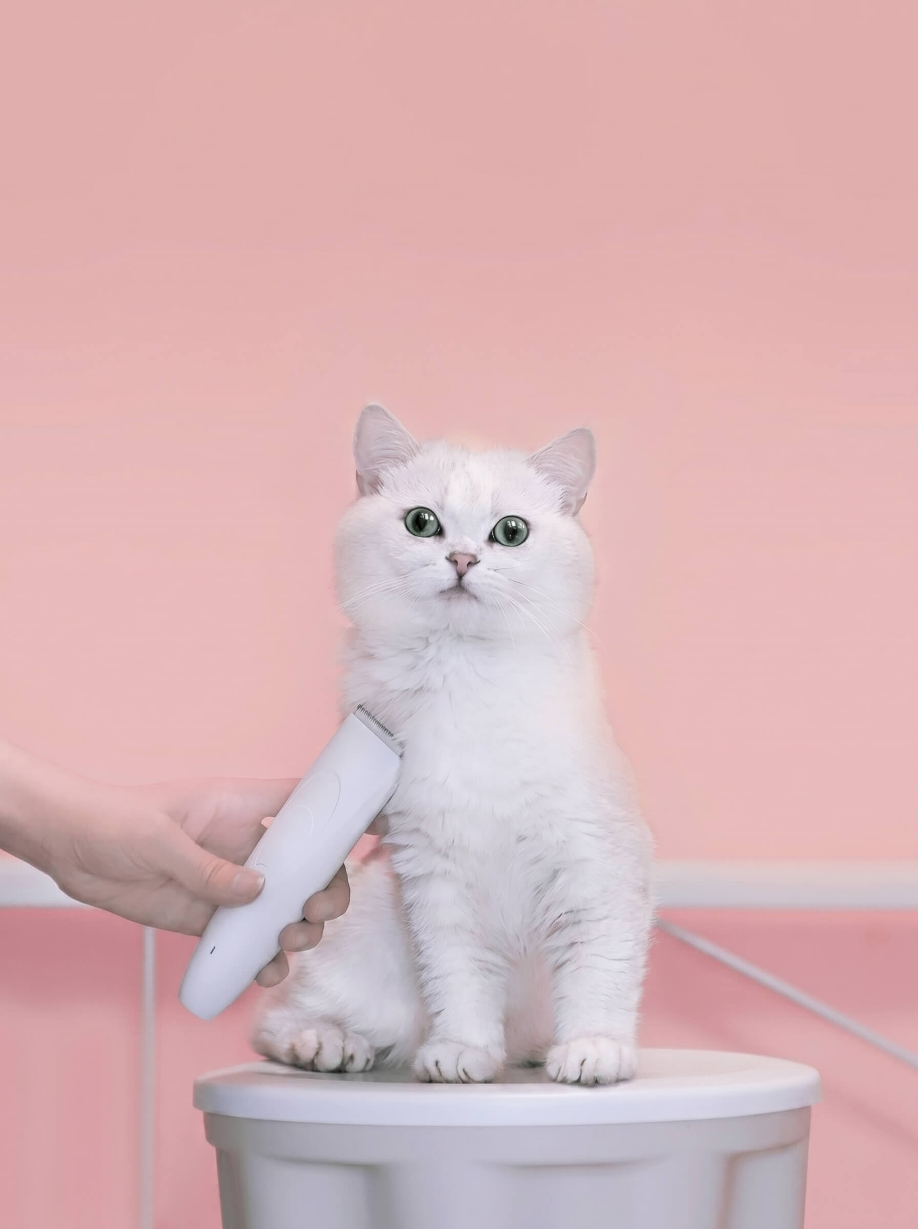 Pawbby Pet Shaver