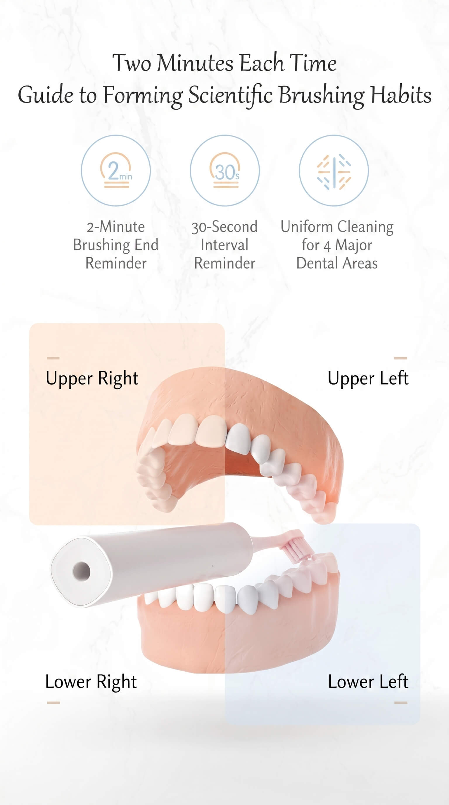 Showsee Small Sound Wave Electric Toothbrush