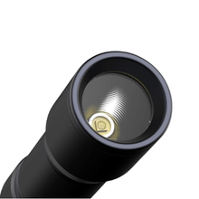 Polar Bee Rechargeable Mini Flashlight