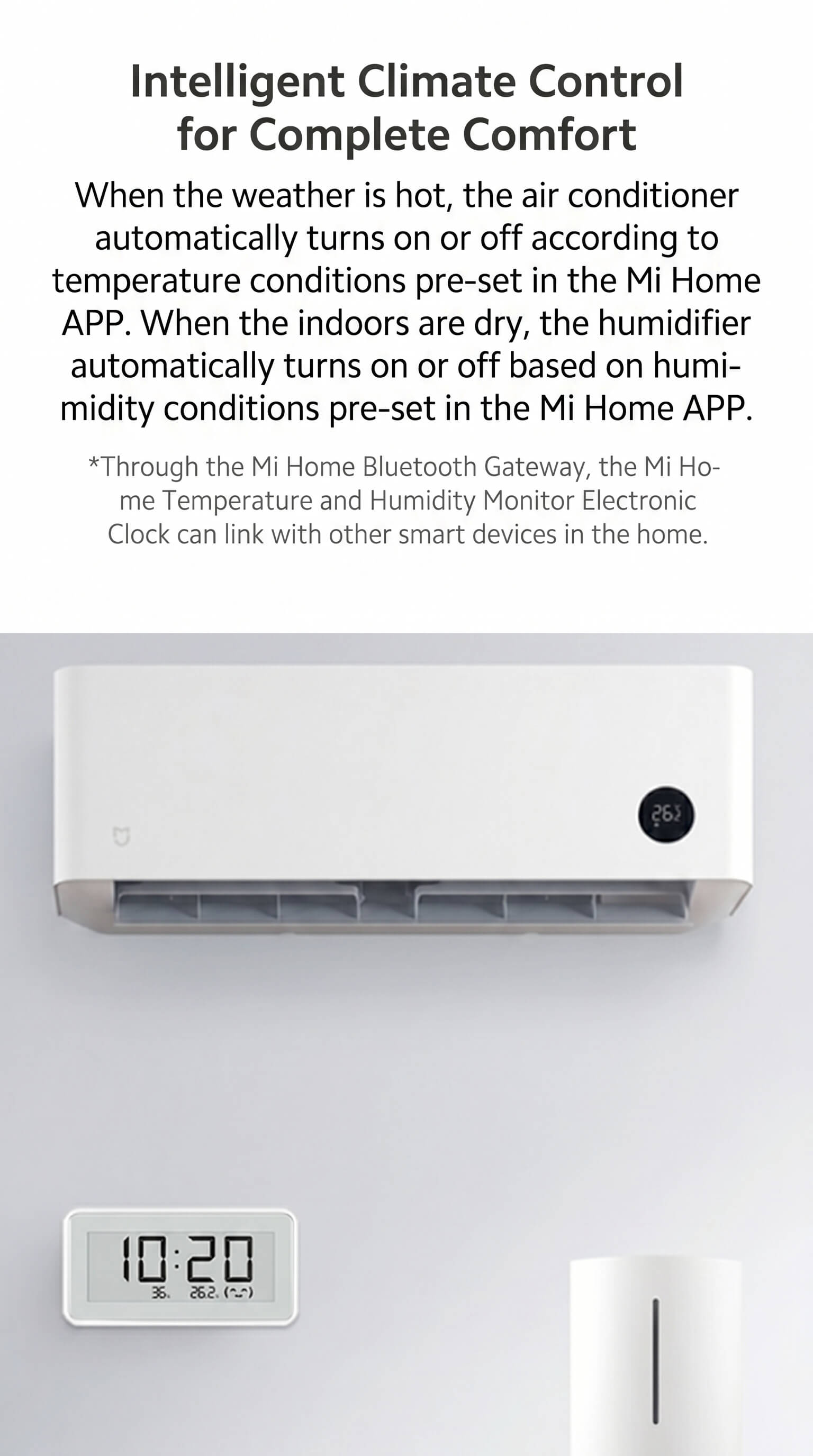 Xiaomi Electronic Hygrometer Pro