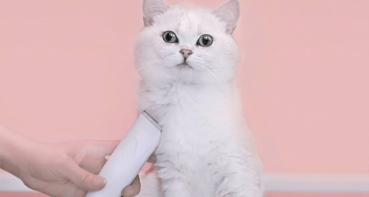 Pawbby Pet Shaver