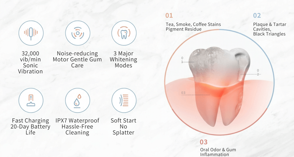Showsee Small Sound Wave Electric Toothbrush