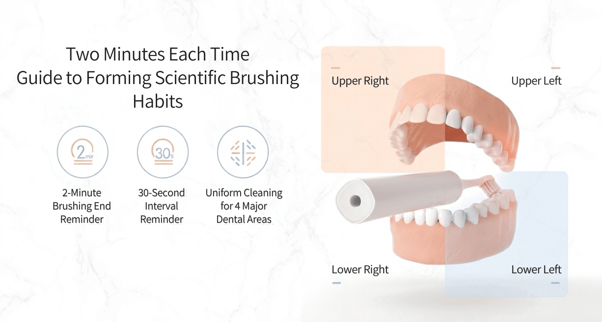 Showsee Small Sound Wave Electric Toothbrush