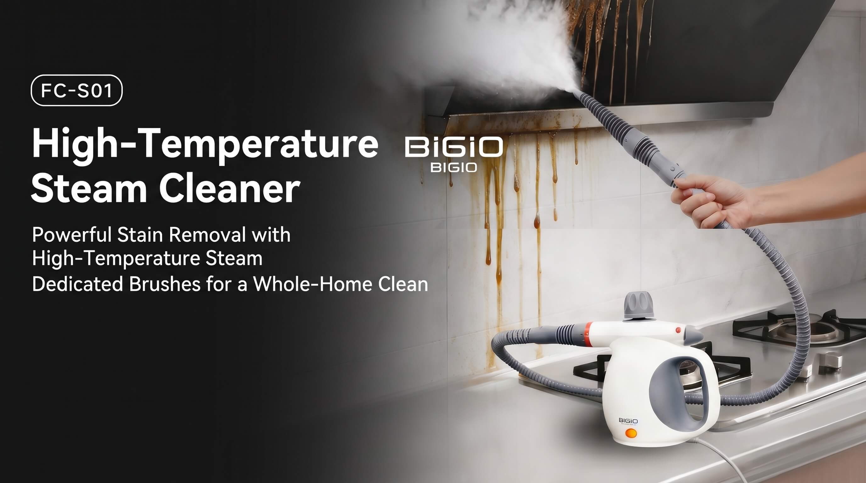 BIGIO High Temperature Steam Cleaner