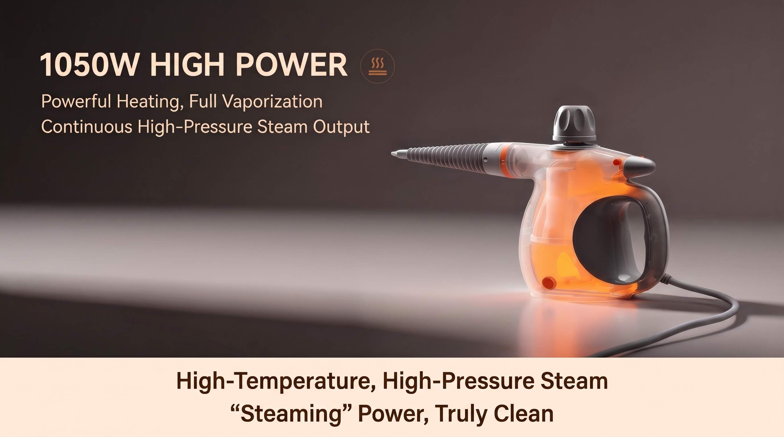 BIGIO High Temperature Steam Cleaner