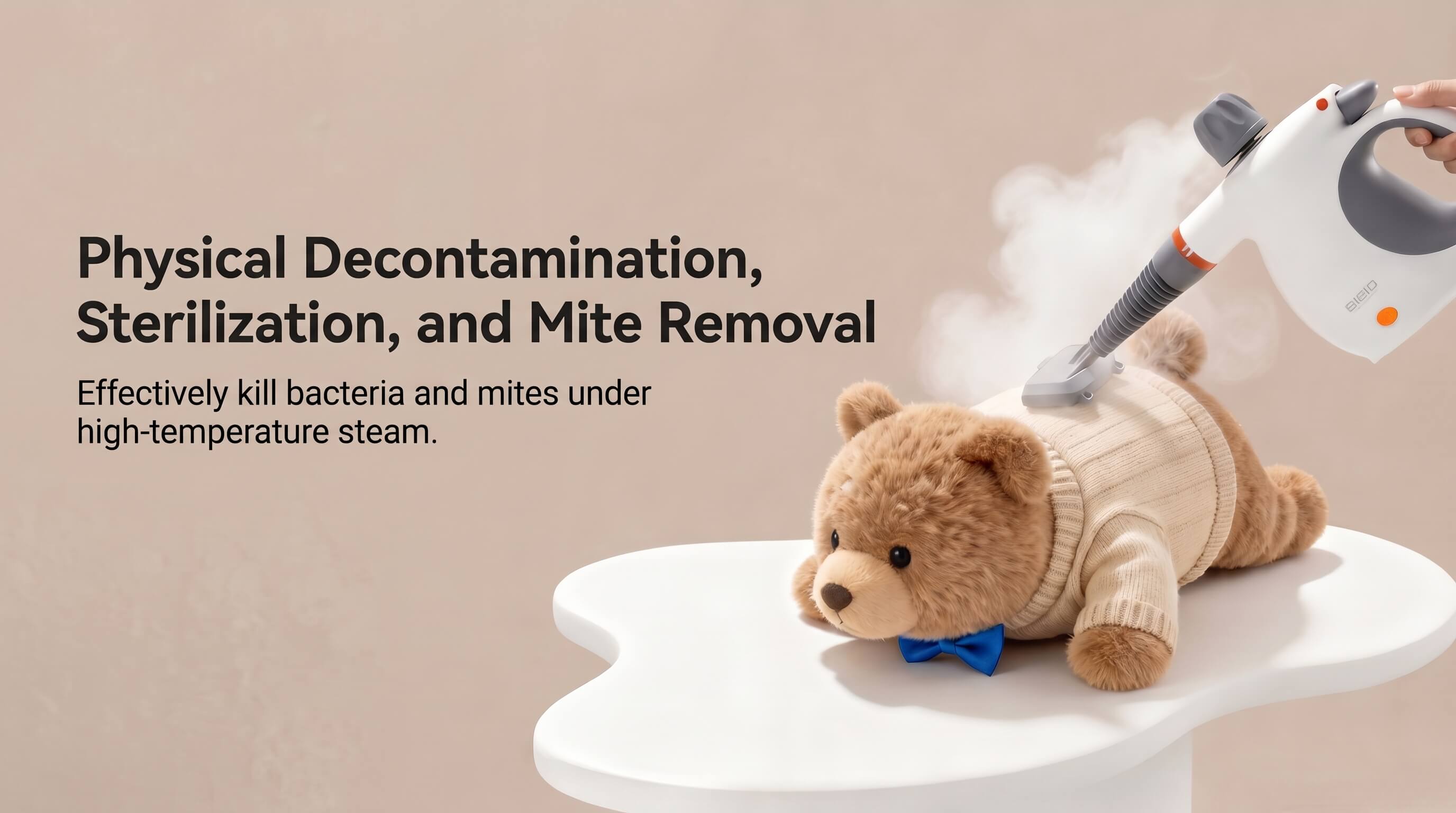 BIGIO High Temperature Steam Cleaner