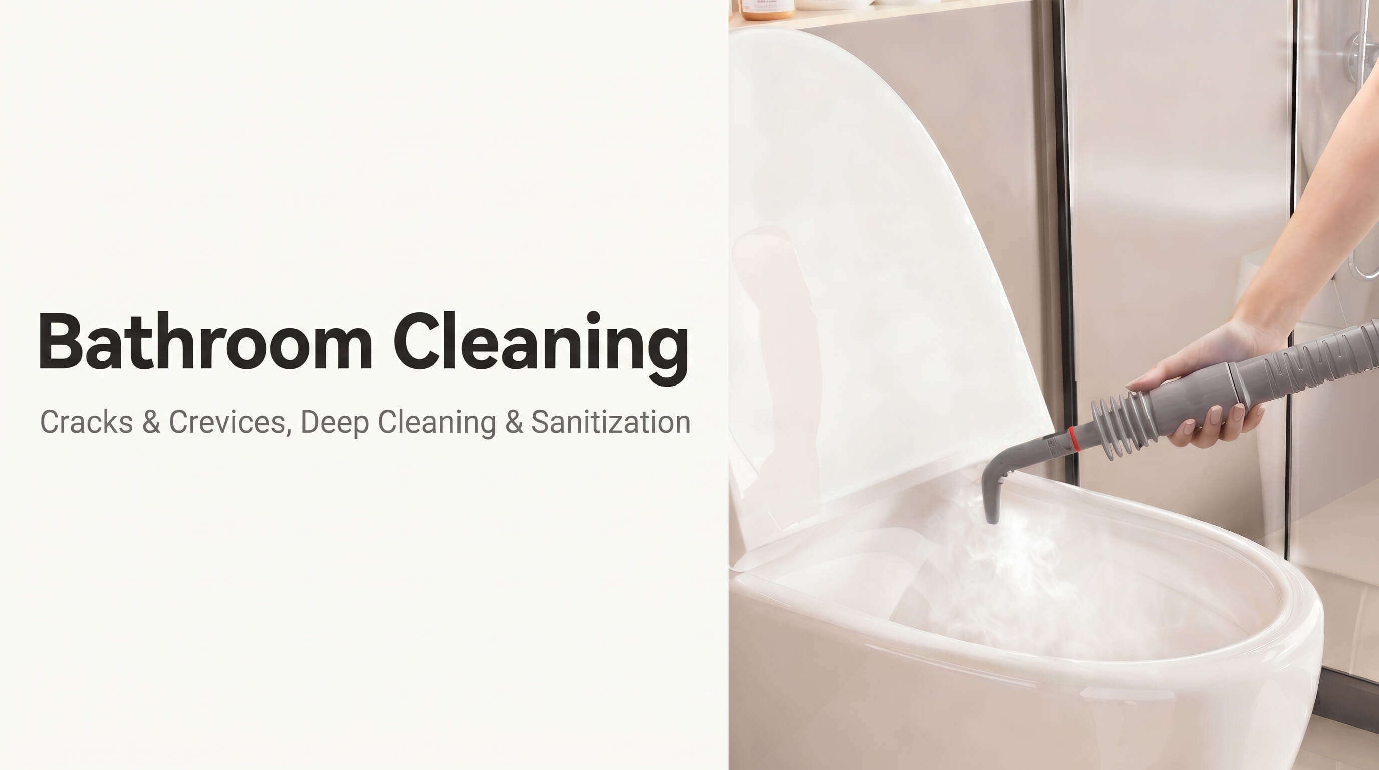 BIGIO High Temperature Steam Cleaner