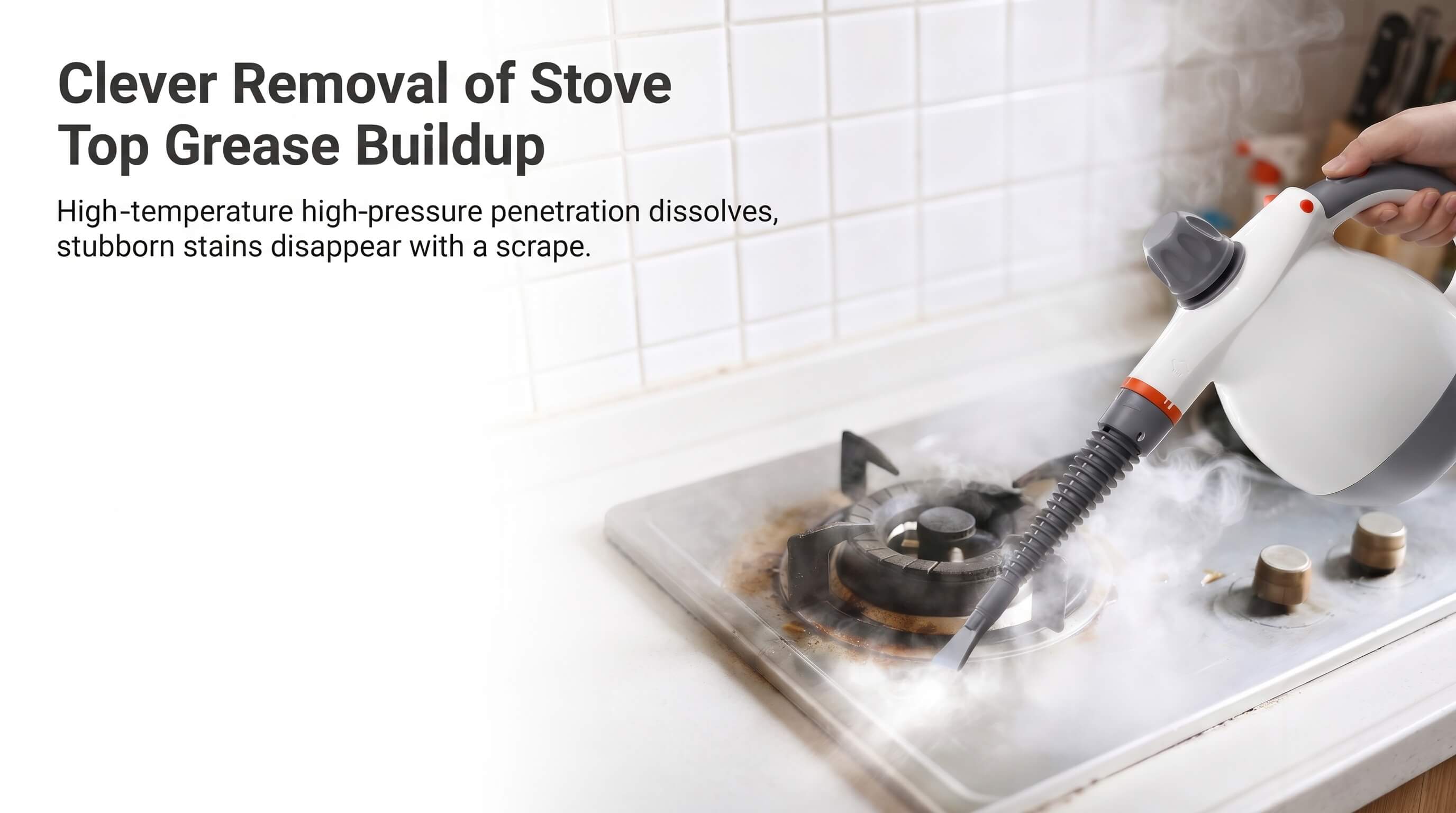 BIGIO High Temperature Steam Cleaner