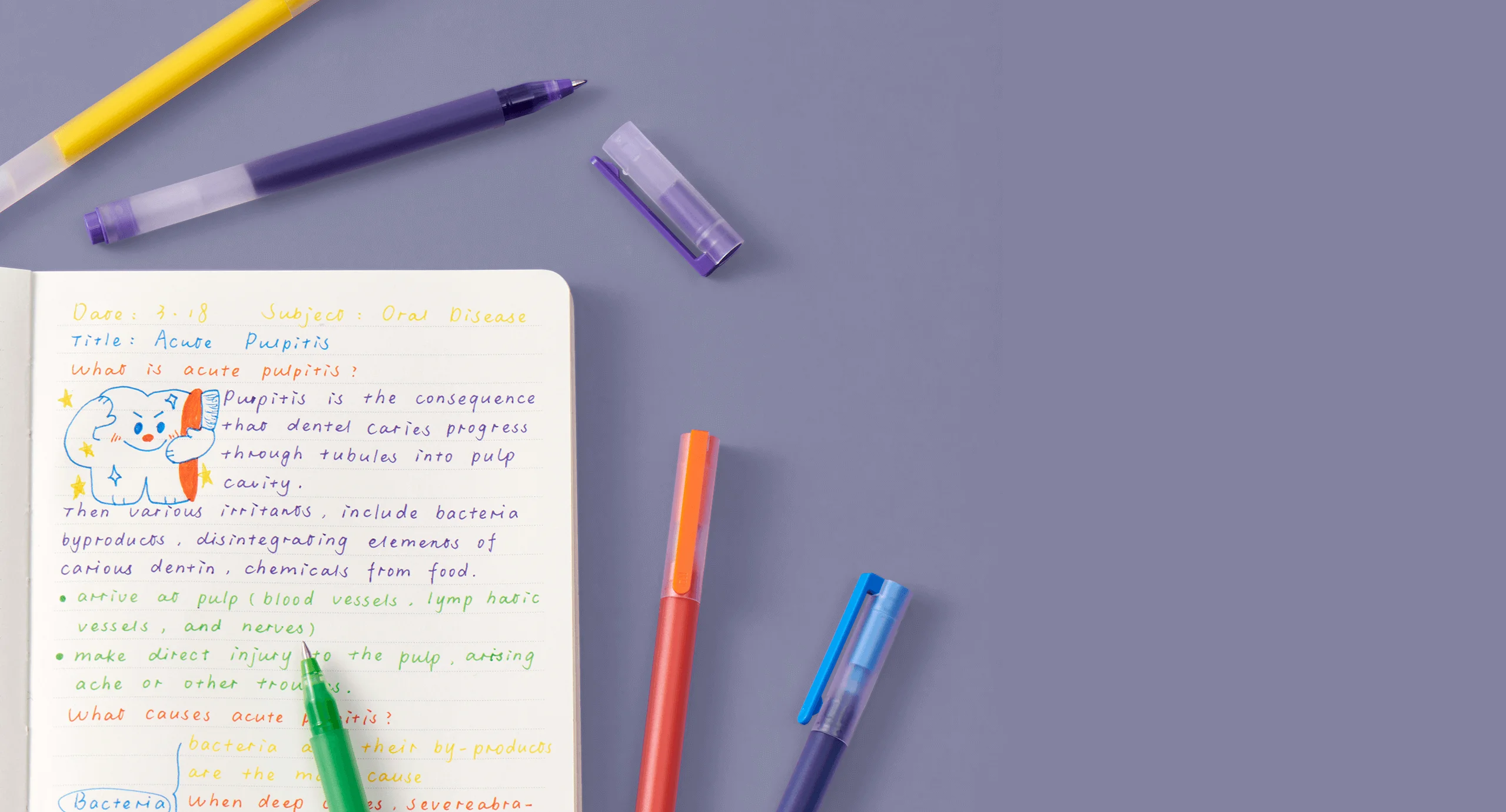 Xiaomi High Capacity Gel Pen 5 Pack