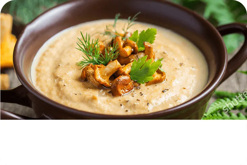 Xiaomi Induction Cooker Lite