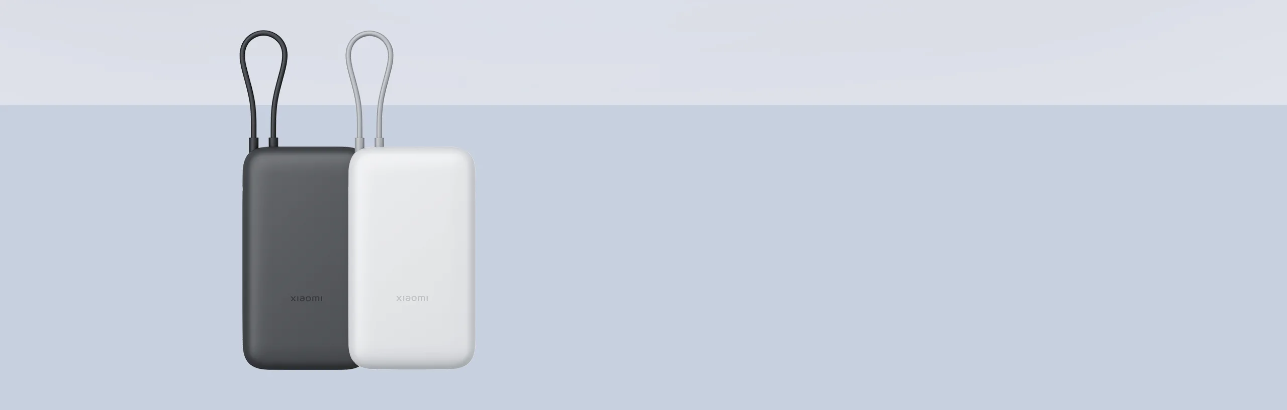 Xiaomi Power Bank 20000