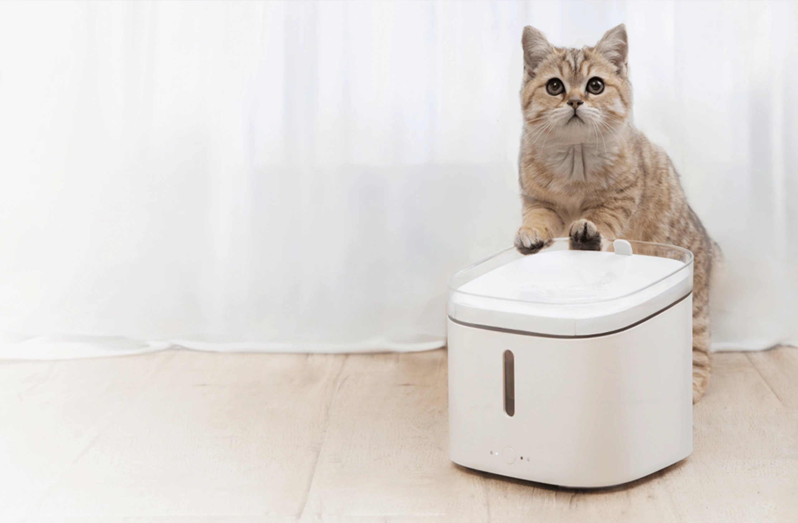 Xiaomi Smart Pet Fountain