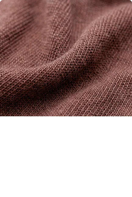 Xiaomi Standing Garment Steamer