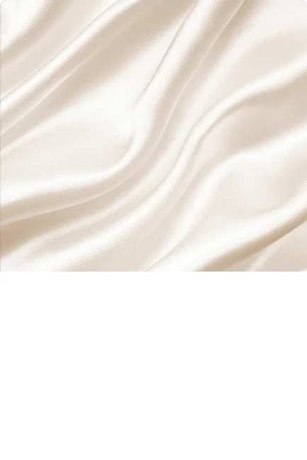 Xiaomi Standing Garment Steamer